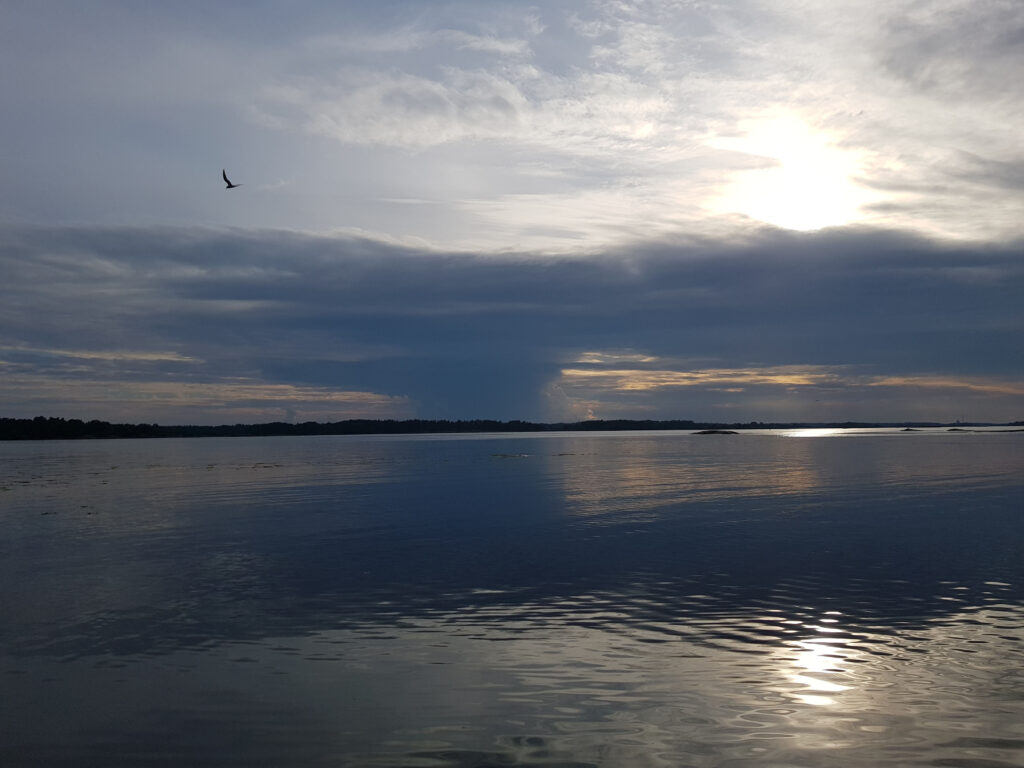 skargardenkopiera